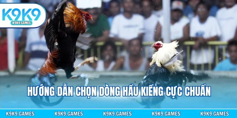 Hướng dẫn chọn dòng hầu kiềng cực chuẩn